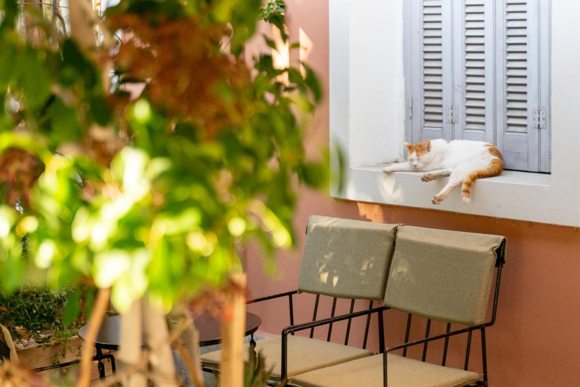 Comfy 2 Bedroom Apartment With Balcony In Athens Exterior photo